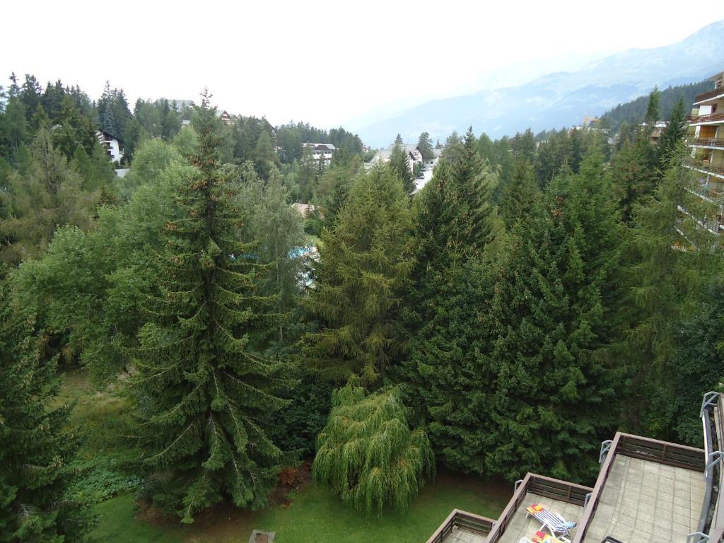 Humagne - Center * Crans-Montana